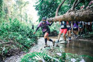 BIB: 
                            <button type="button" onclick="openModal(25465924)" class="btn btn-primary btn-sm float-right btn-popup" data-toggle="modal" data-target=".modal-high-quality">
                        <i class="fas fa-shopping-cart"></i> Add to Cart
                    </button>
                                            <button type="button" onclick="isThisMe(25465924, true)" class="btn btn-success btn-sm float-right btn-popup btn-isme hidden" data-toggle="tooltip" data-placement="bottom" title="นี่คือรูปของคุณใช่ไหม คลิกที่นี่เพื่อเอาเข้าอัลบั้ม">
                        <i class="fas fa-plus"></i> Add to album
                    </button>
                    <button type="button" onclick="isThisMe(25465924, false)" class="btn btn-warning btn-sm float-right btn-popup btn-isnotme hidden">
                        <i class="fas fa-ban"></i> Remove from album
                    </button>